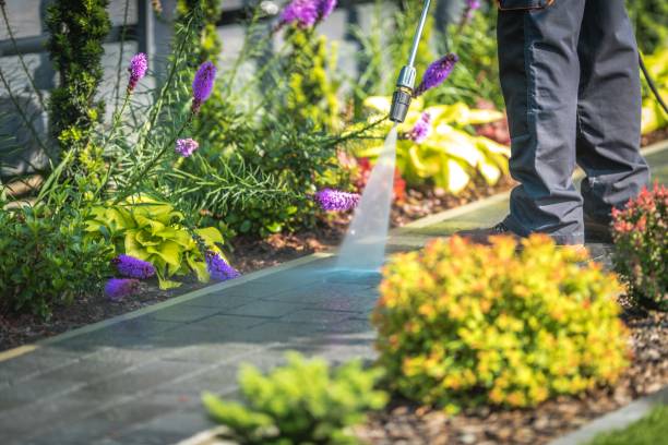 Reliable Fletcher, NC Pressure Washing Services Solutions